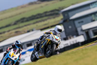 PJ-Motorsport-2019;anglesey-no-limits-trackday;anglesey-photographs;anglesey-trackday-photographs;enduro-digital-images;event-digital-images;eventdigitalimages;no-limits-trackdays;peter-wileman-photography;racing-digital-images;trac-mon;trackday-digital-images;trackday-photos;ty-croes